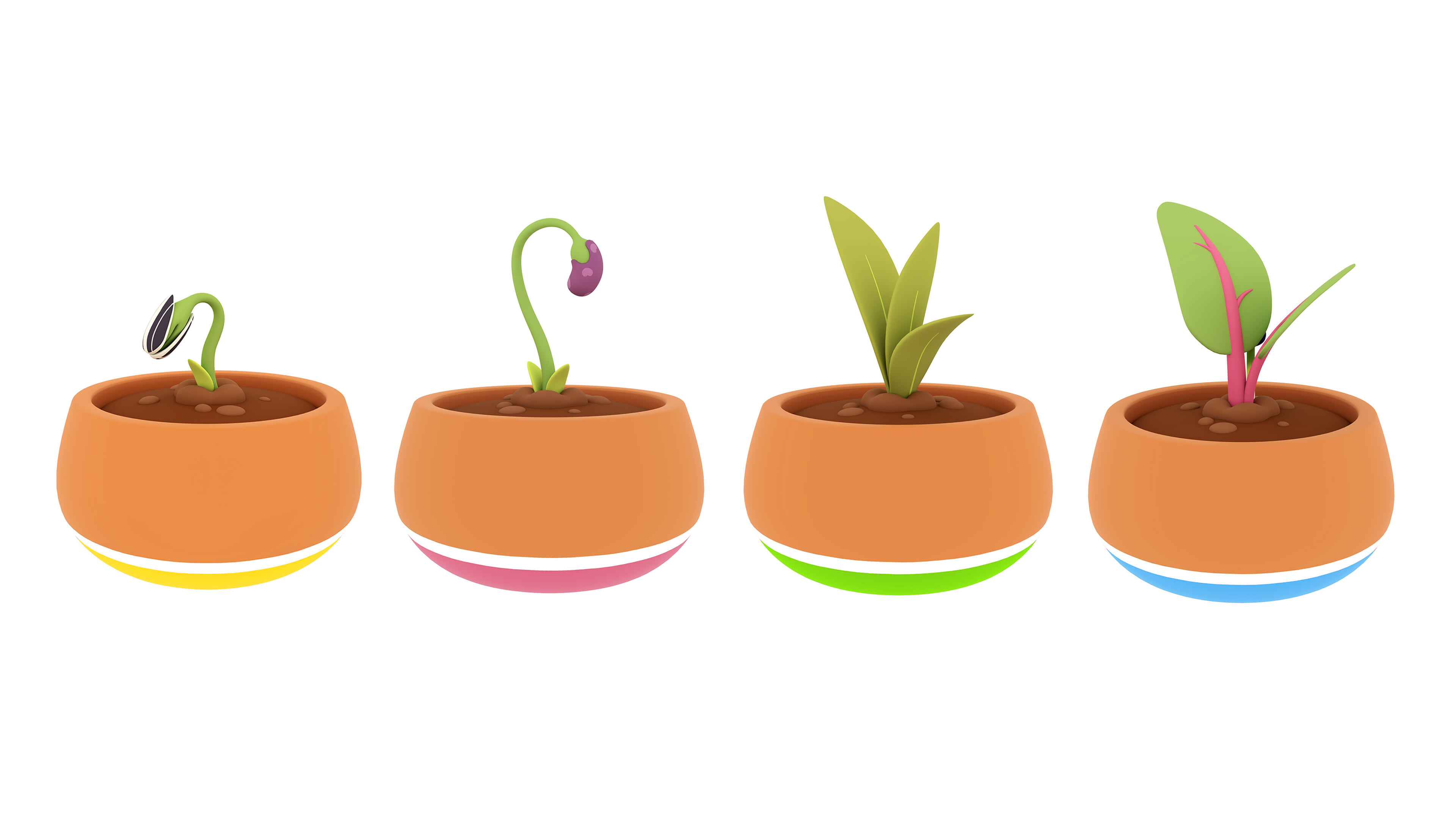 Plants