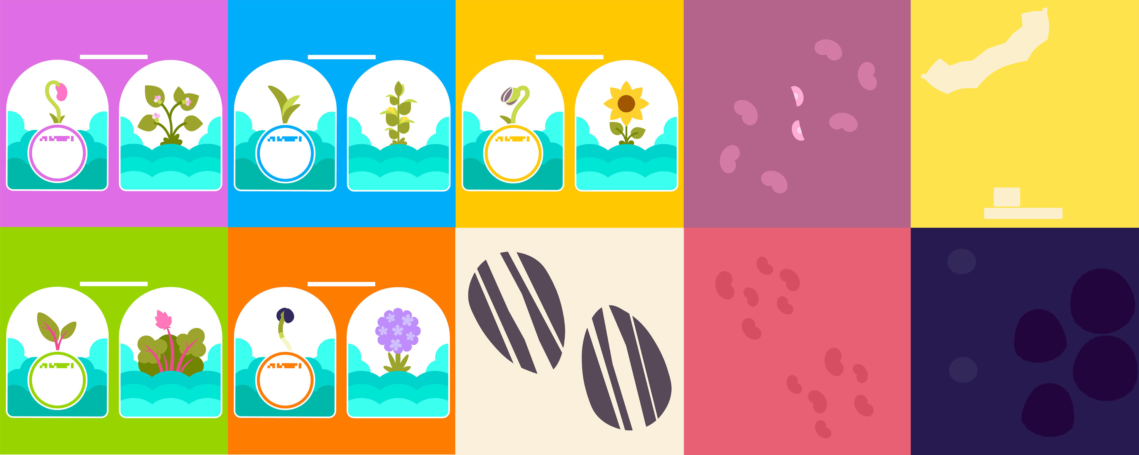 Seeds + Packaging Texture Sets