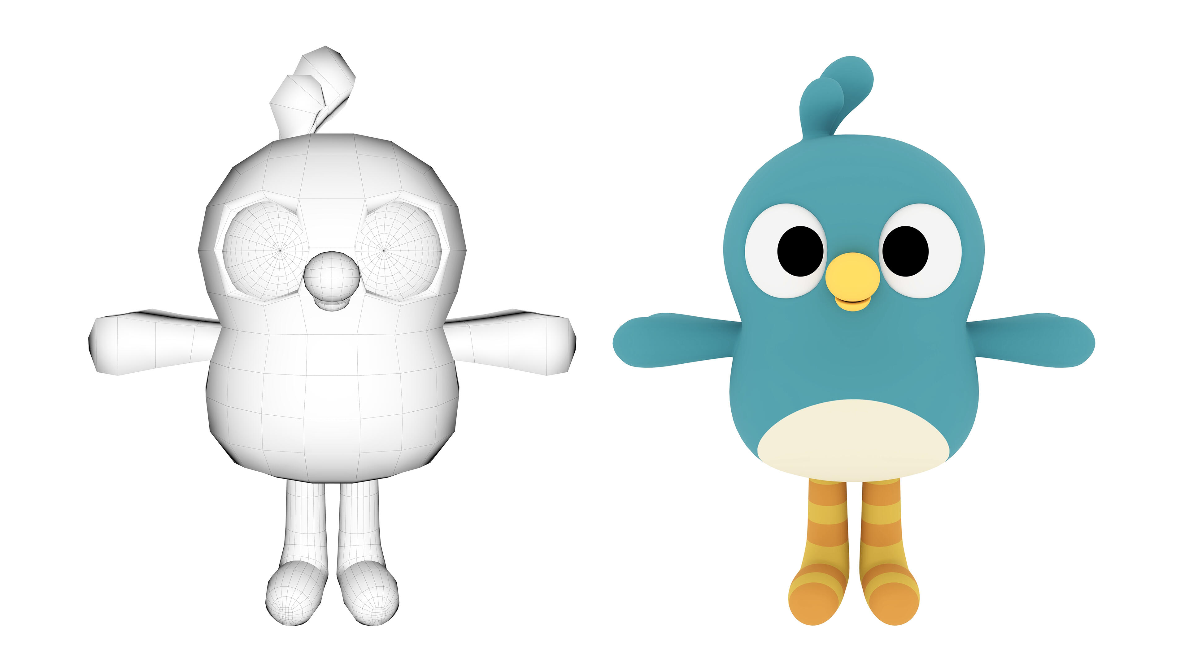 Birds