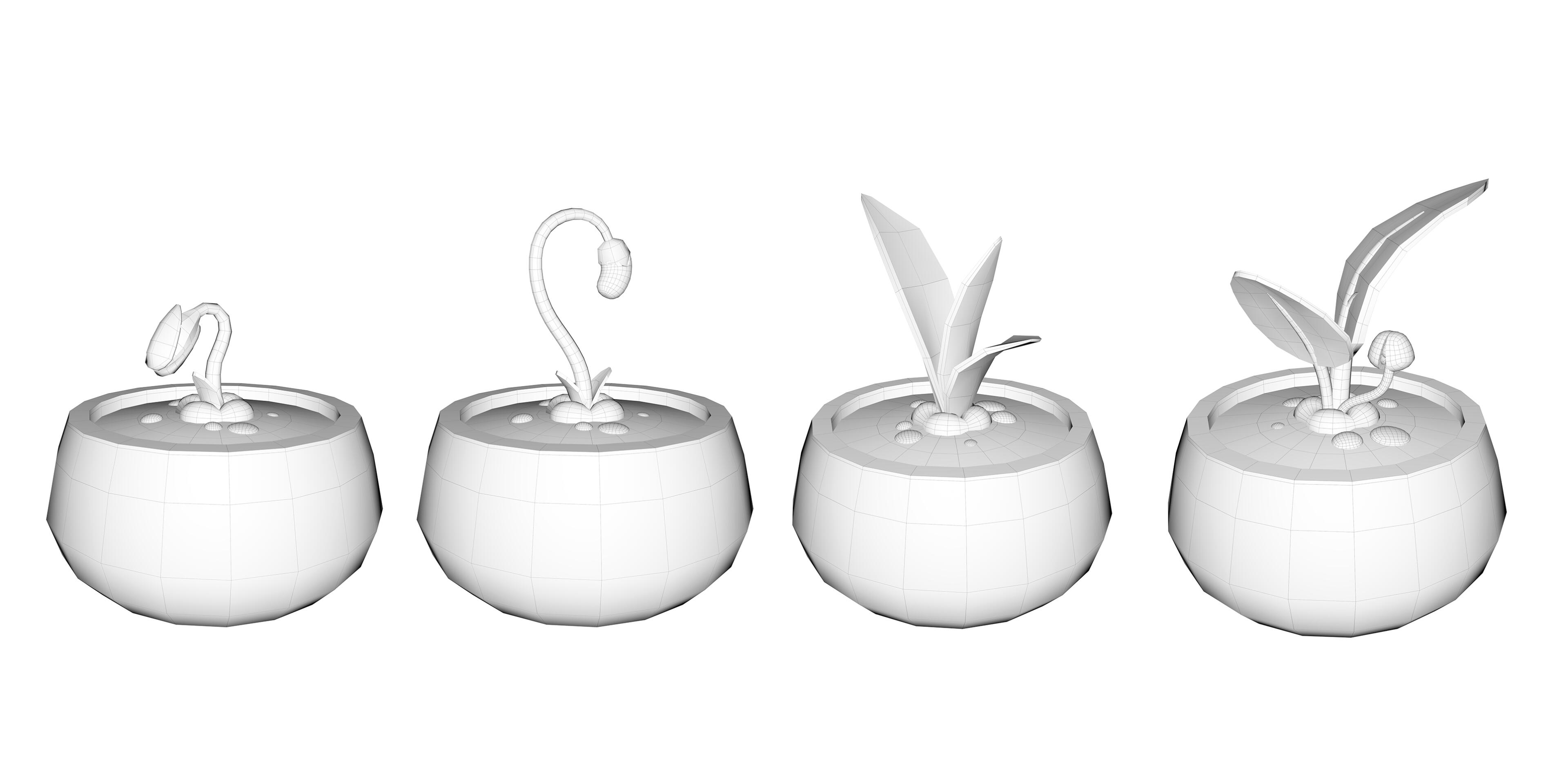 Plants Wireframe